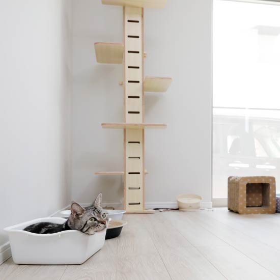 フィオレハウス豊中服部天神パークサイド／T様邸