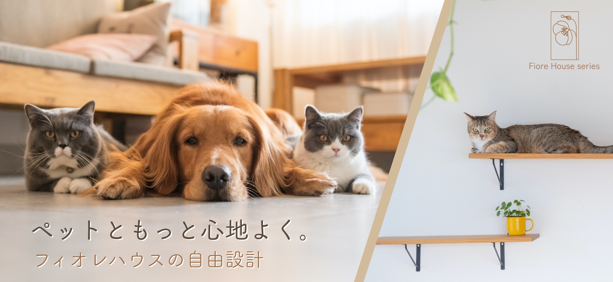 ペットと自由設計